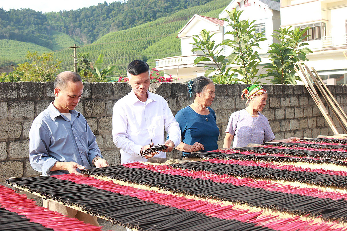 Mô hình làm hương của HTX Sơn Động.