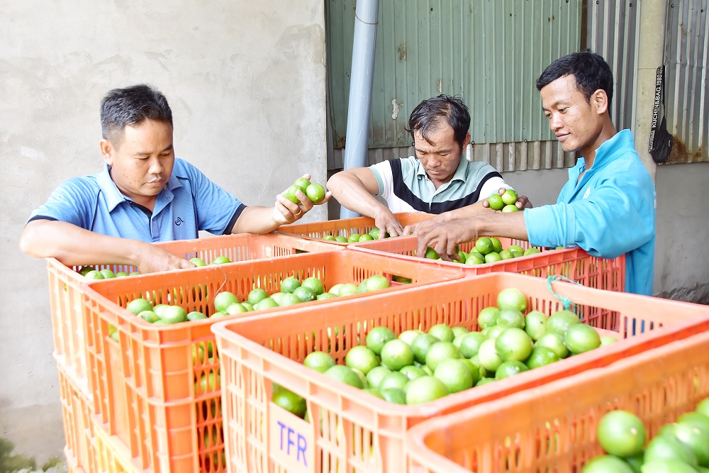 Nông sản của người dân, HTX rộng đầu ra nhờ chuyển đổi số.