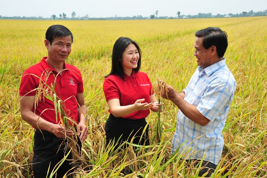Đề án “Phát triển bền vững 1 triệu hecta chuyên canh lúa chất lượng cao và phát thải thấp gắn với tăng trưởng xanh vùng đồng bằng sông Cửu Long đến năm 2030” đã cho những trái ngọt đầu tiên.