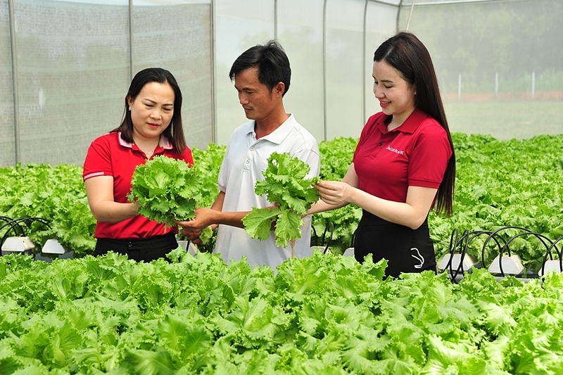 Nguồn vốn Agribank giúp hiện thực hóa ước mơ làm giầu của người nông dân trên chính mảnh đất quê hương.