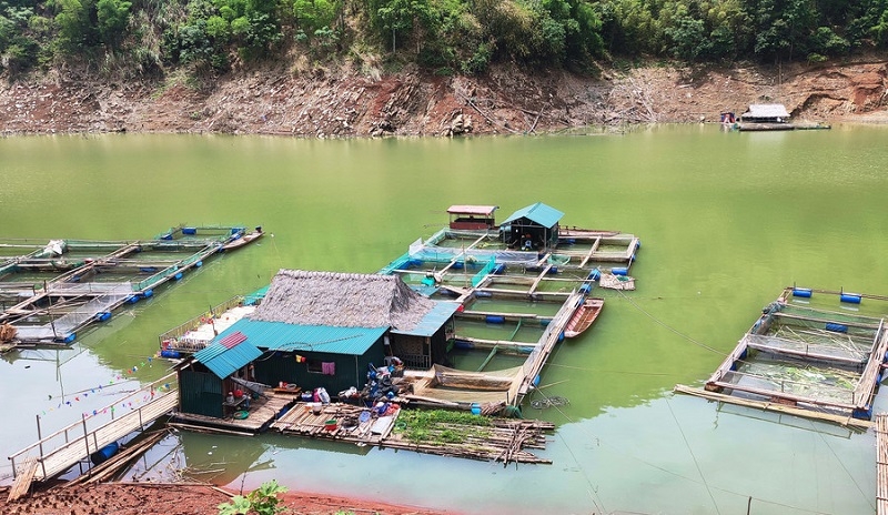 Mô hình nuôi cá lồng tại bản Tà Bán &lpar;xã Trung Sơn, tỉnh Thanh Hóa&rpar;.