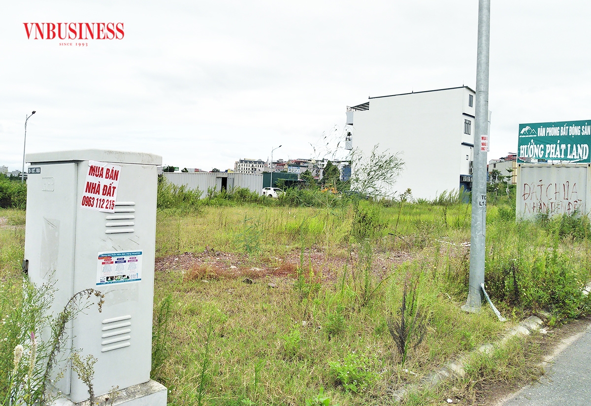 Nhiều nhà đầu tư đang kỳ vọng dòng vốn lãi suất thấp sẽ giúp thị trường nhà đất nóng lên.