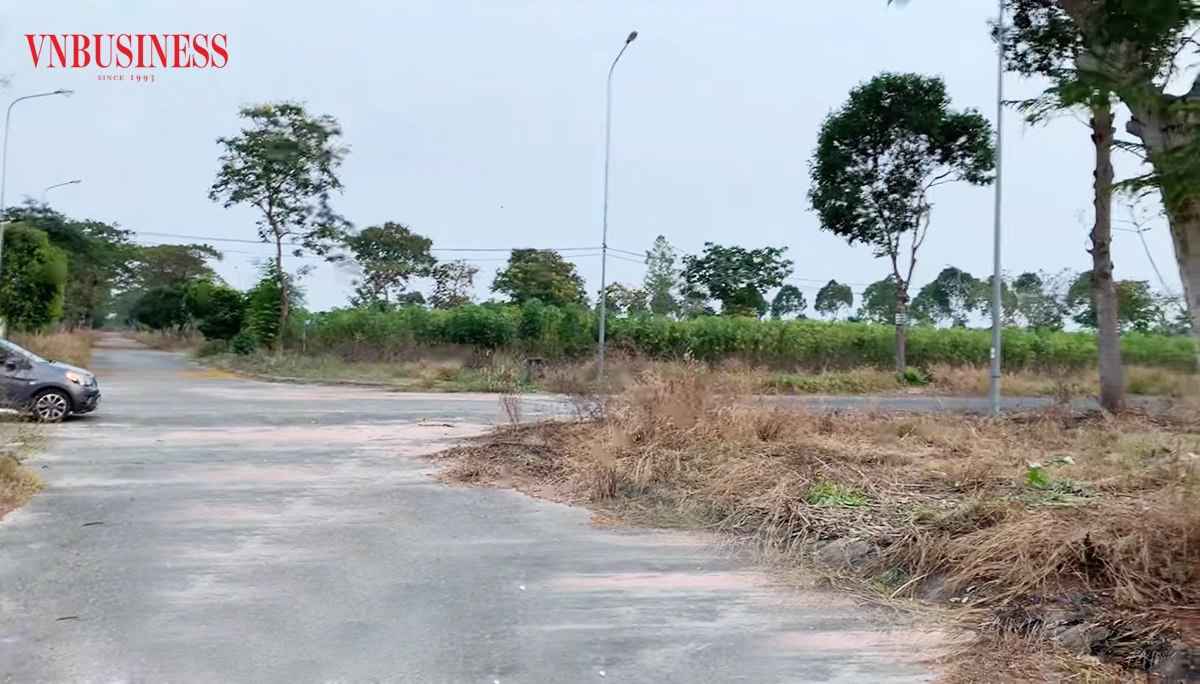 Đất nền nhiều khu vực vùng ven đang nóng hầm hập vì cò thổi giá.