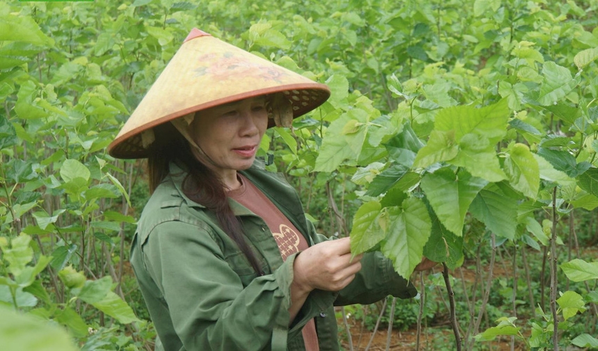 Việc tham gia vào các HTX, tổ hợp tác giúp nông dân Đồng Nai nâng cao hiệu quả sản xuất.