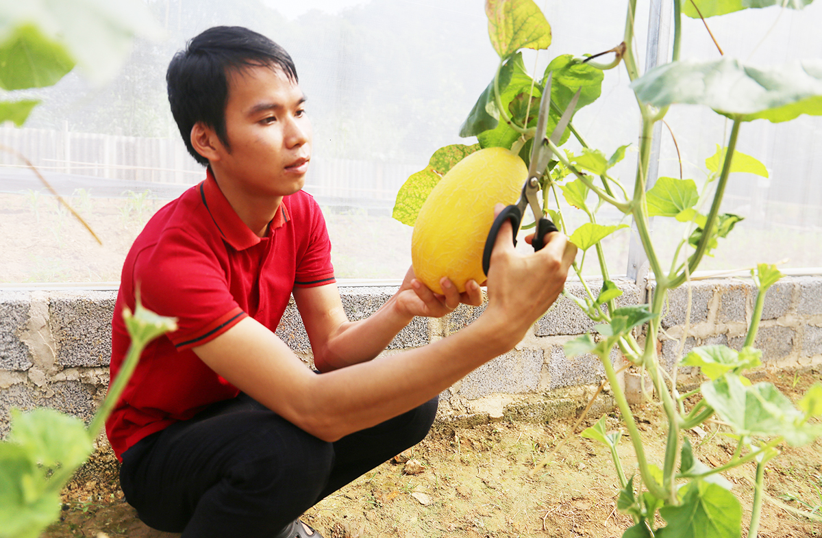 Sản xuất công nghệ cao giúp nông dân tạo môi trường xanh, hút khách du lịch.