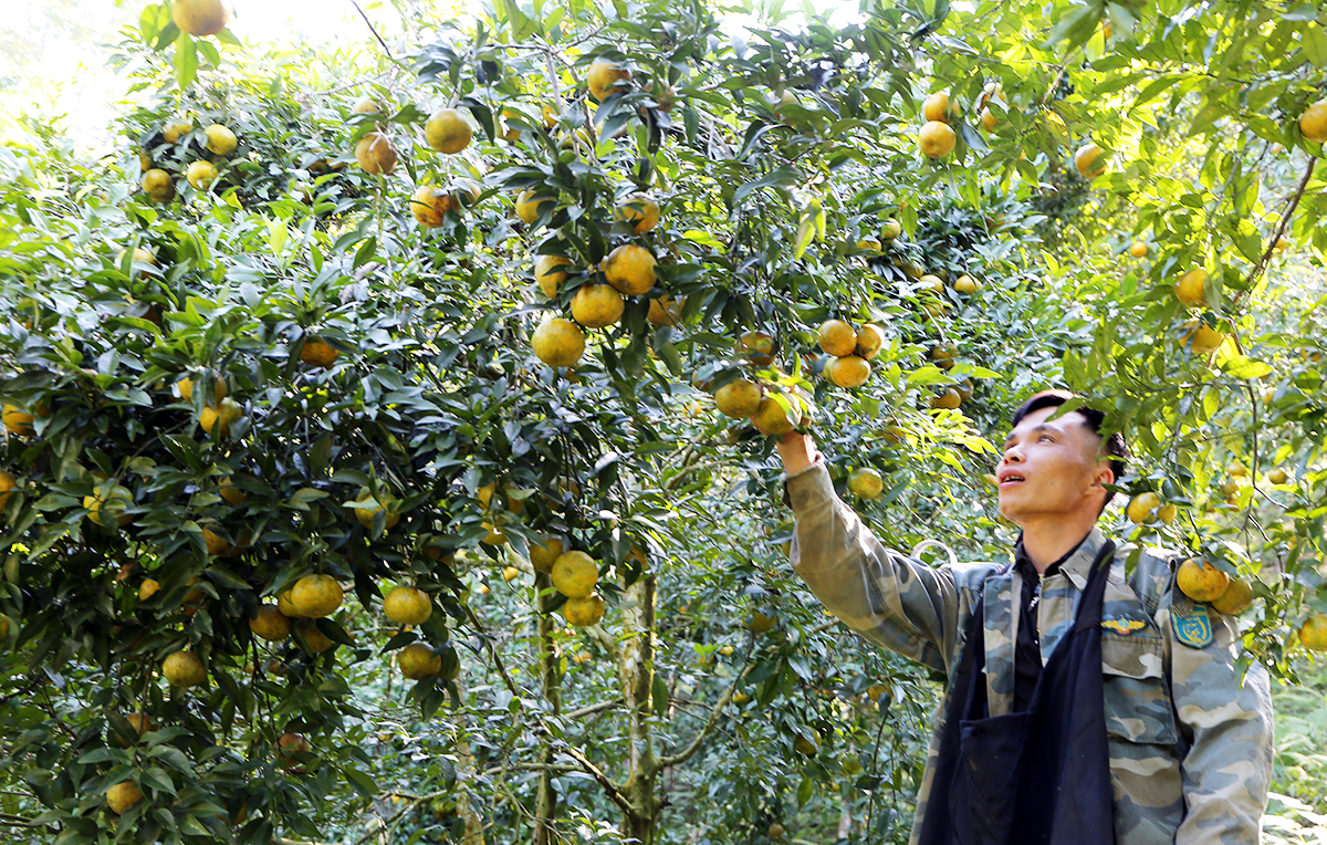 Nông dân Bắc Kạn đẩy mạnh đưa khoa học công nghệ vào sản xuất để nâng cao chất lượng sản phẩm.