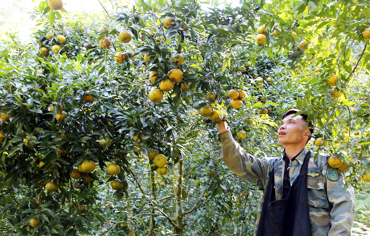 Nông dân Bắc Kạn đẩy mạnh đưa khoa học công nghệ vào sản xuất để nâng cao chất lượng sản phẩm.