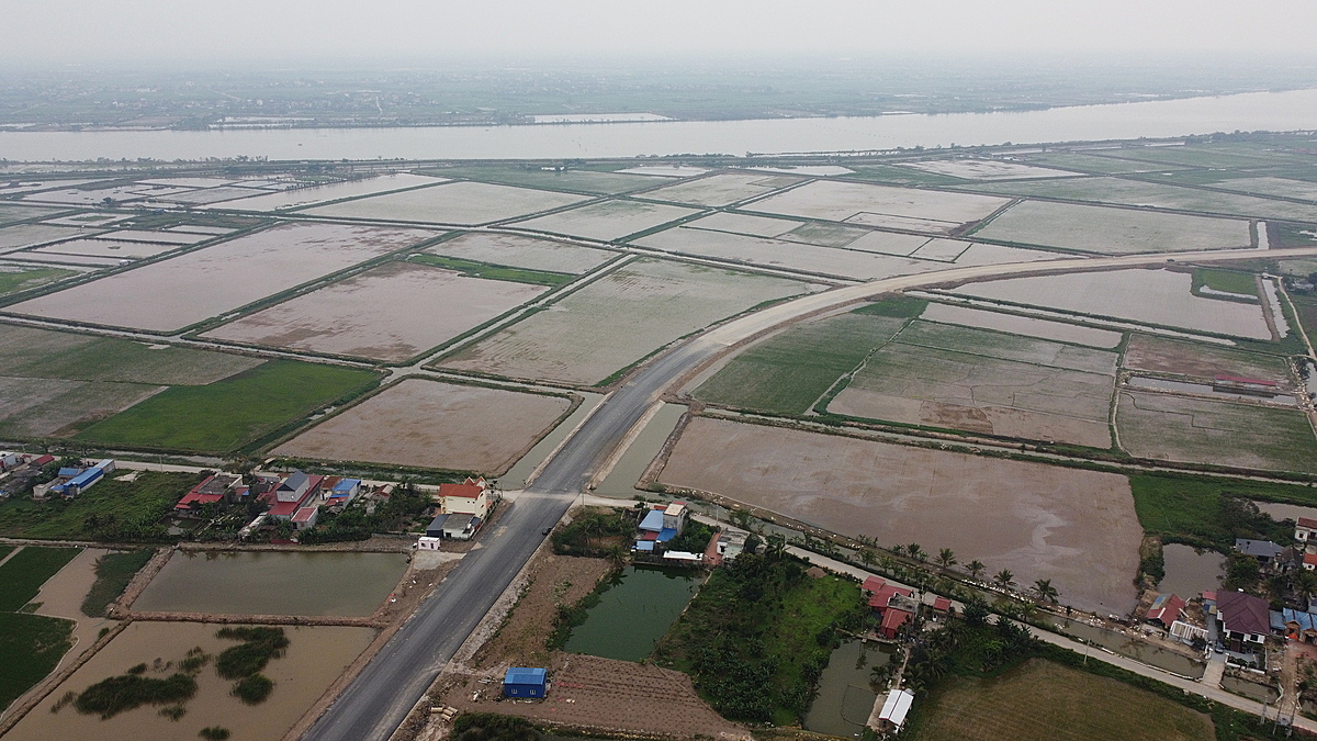 Sau nhiều cố gắng cấy lại và chăm bón của nông dân thì màu xanh trở lại cánh đồng thôn Đông.