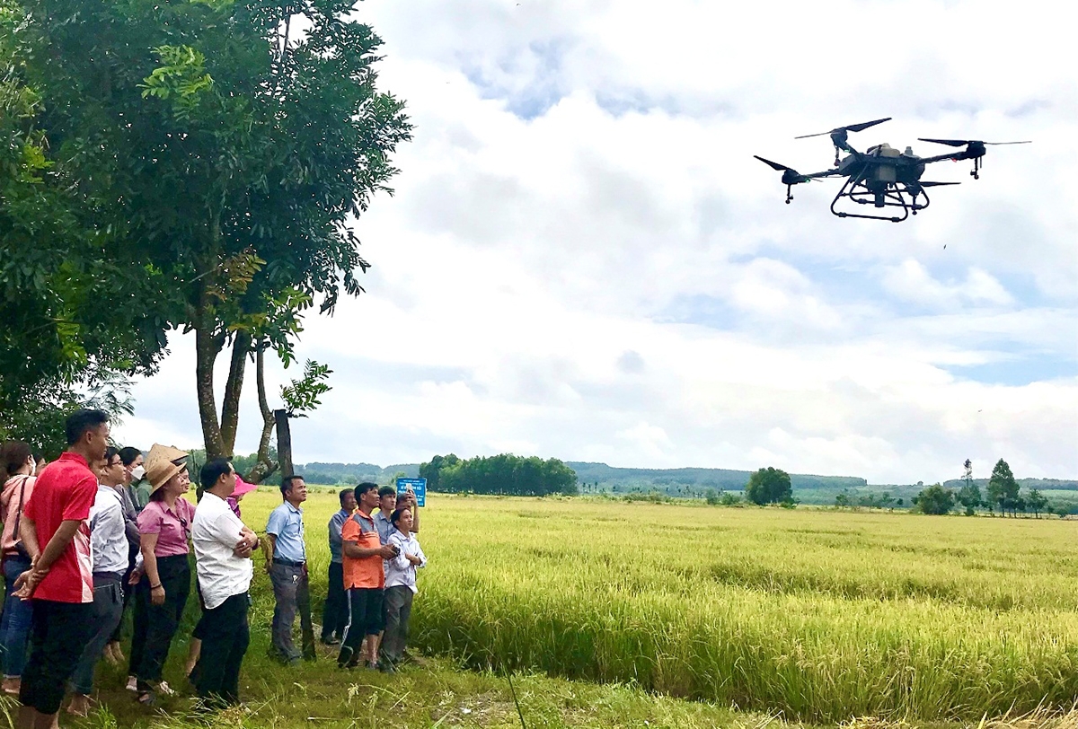 Tiếp cận khoa học kỹ thuật giúp đồng bào dân tộc thiểu số miền núi ở Lộc Ninh nâng cao năng suất.