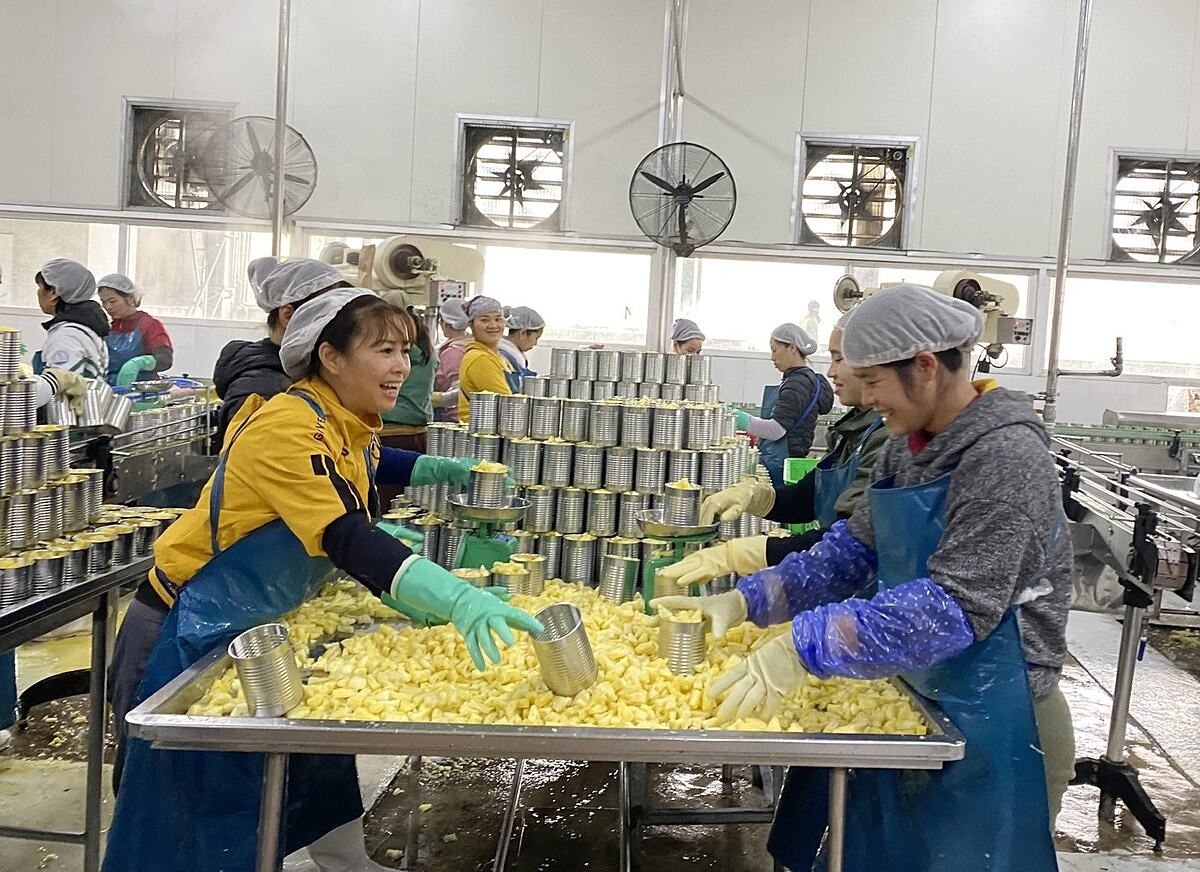 Mường Khương là địa phương duy nhất trong tỉnh có nhà máy chế biến dứa đóng hộp xuất khẩu sang thị trường Nga, Hàn Quốc và một số quốc gia châu Âu.