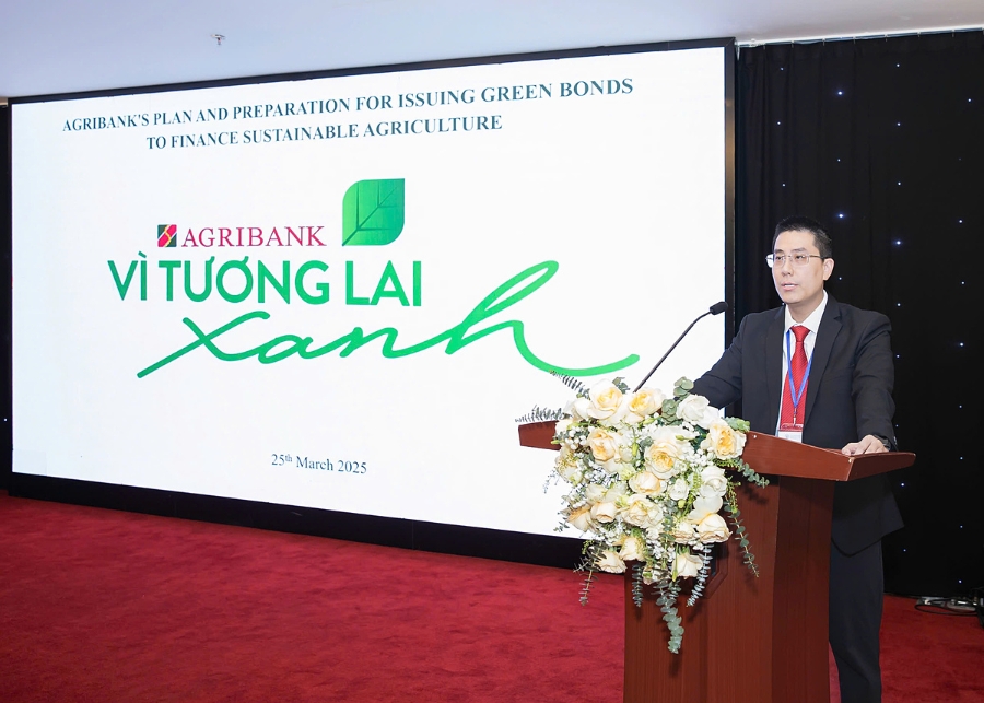 Ông Nguyễn Tuấn Hưng - Phó trưởng Ban ALCO phát biểu.