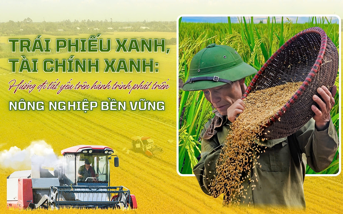 Agribank đã và đang tích cực triển khai các sáng kiến tài chính xanh, góp phần xây dựng một tương lai bền vững cho ngành nông nghiệp Việt Nam.