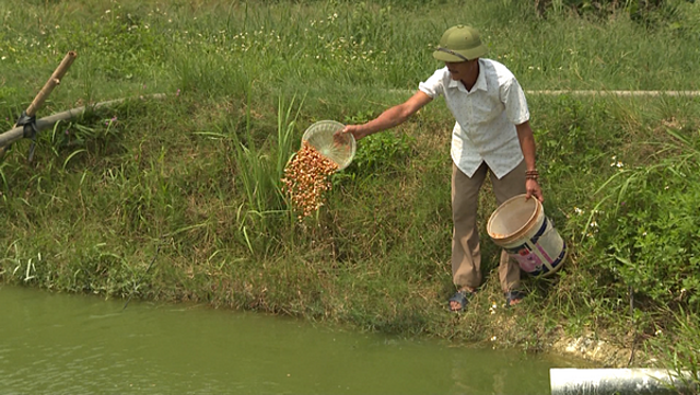 Tham gia HTX Thủy sản Phong Hải, thành viên được tập huấn kỹ thuật về chăm sóc, phòng bệnh cho cá, chăn nuôi theo quy trình an toàn.