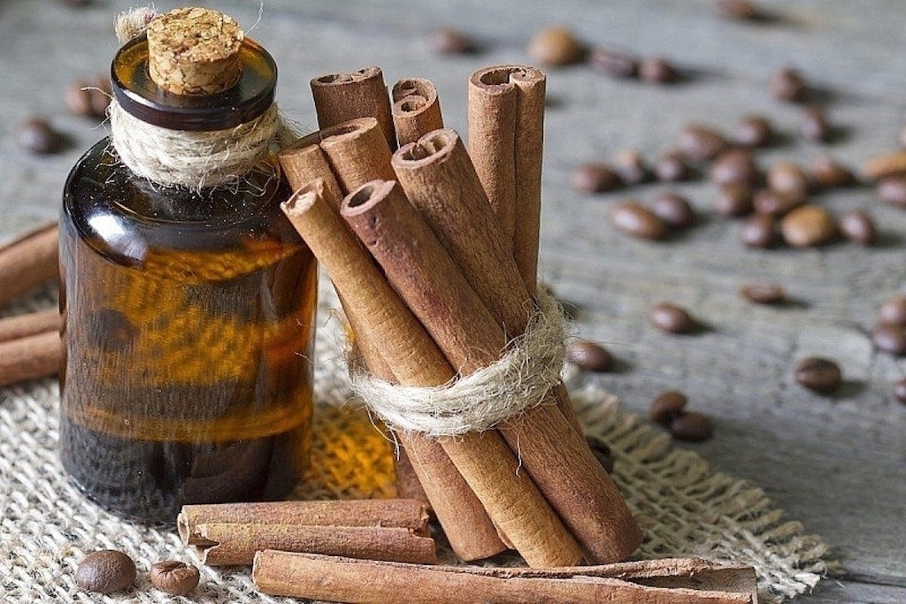 Sản phẩm tinh dầu quế HTX ở Bắc Trà My ngày càng được nhiều người biết đến.