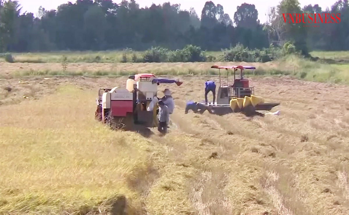 Việc tham gia HTX, tổ hợp tác giúp nông dân tăng nội lực, nâng cao giá trị sản xuất.