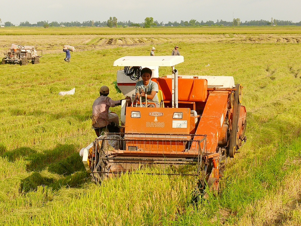 Các HTX nói chung và HTX nông nghiệp nói riêng đang góp phần quan trọng trong công tác xóa đói giảm nghèo ở huyện Tri Tôn, An Giang.