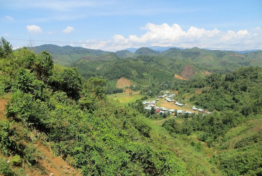 Hiện nay có có gần 860 ha diện tích rừng ở Tây Giang đang được trồng các loại cây dược liệu, sẽ là bài toán kinh tế chính để đồng bào thiểu số phát triển, làm giàu.