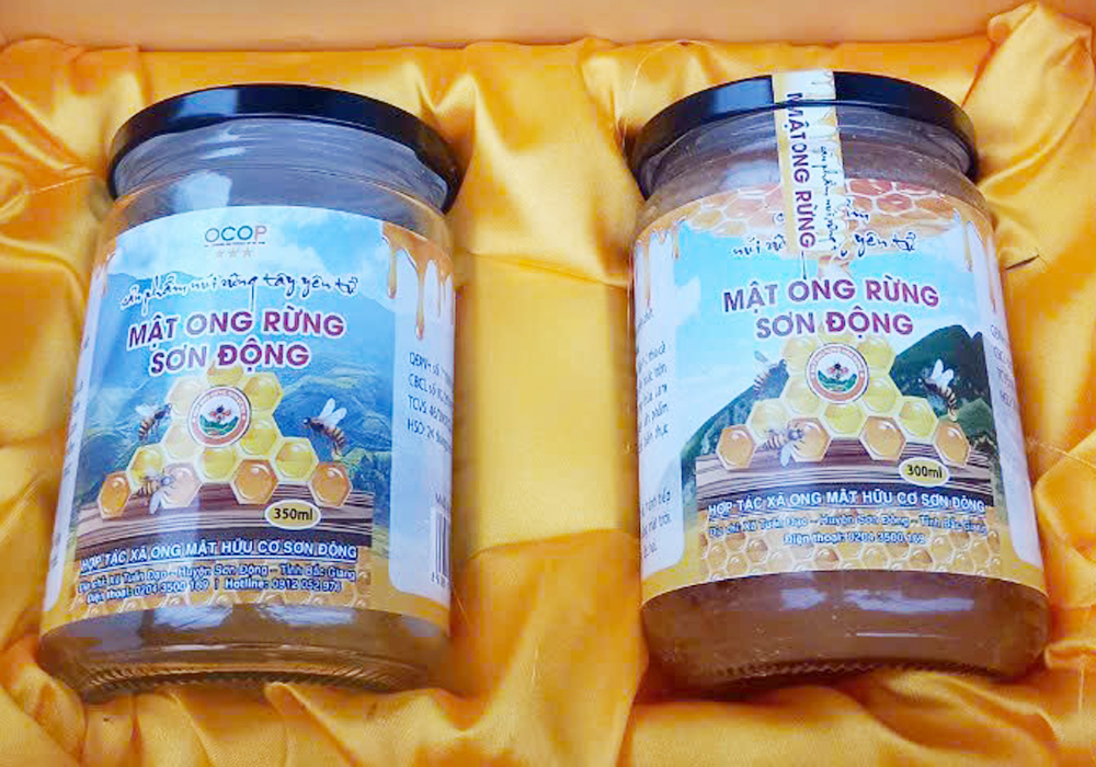 Mật ong của HTX Sơn Động được đầu tư bao bì, mẫu mã.