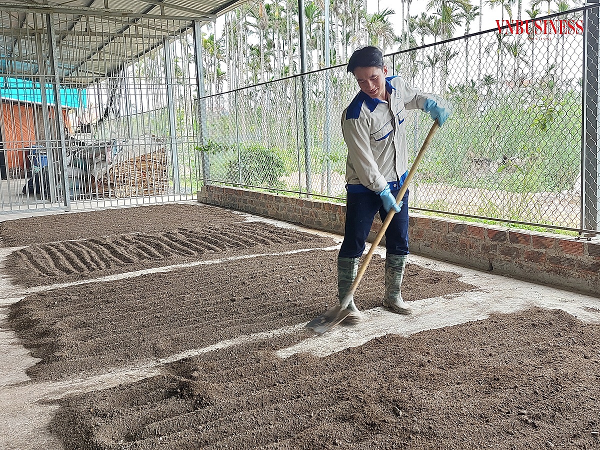 HTX thu hút những lao động trẻ tâm huyết với nghề.