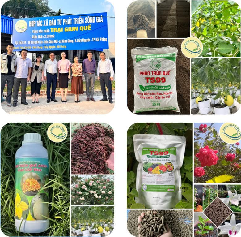 Chặng đường 5 năm nỗ lực không ngừng nghỉ.