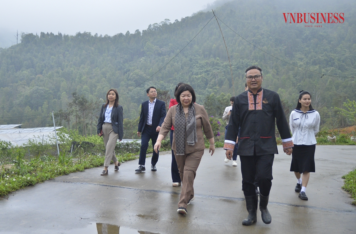 Các HTX tại Bình Liêu được thành lập với sứ mệnh trở thành bà đỡ cho các hộ sản xuất phát triển.