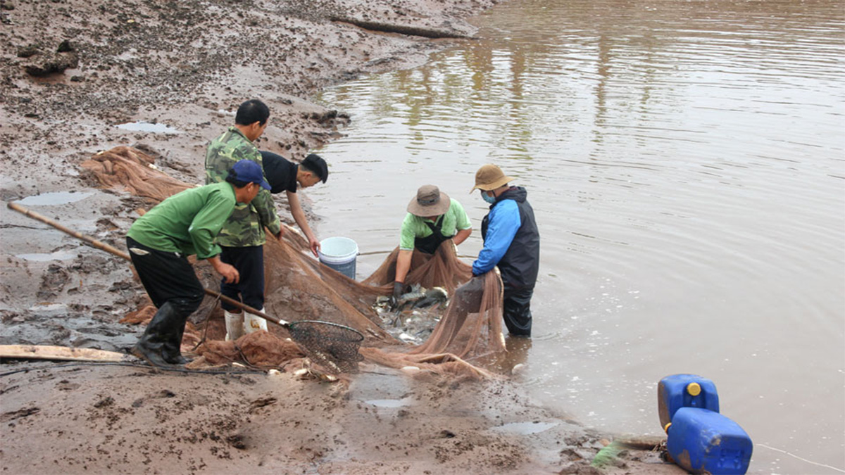 Việc ứng dụng phương thức sản xuất thông minh hơn giúp nông dân Hải Hậu nâng cao hiệu quả sản xuất.