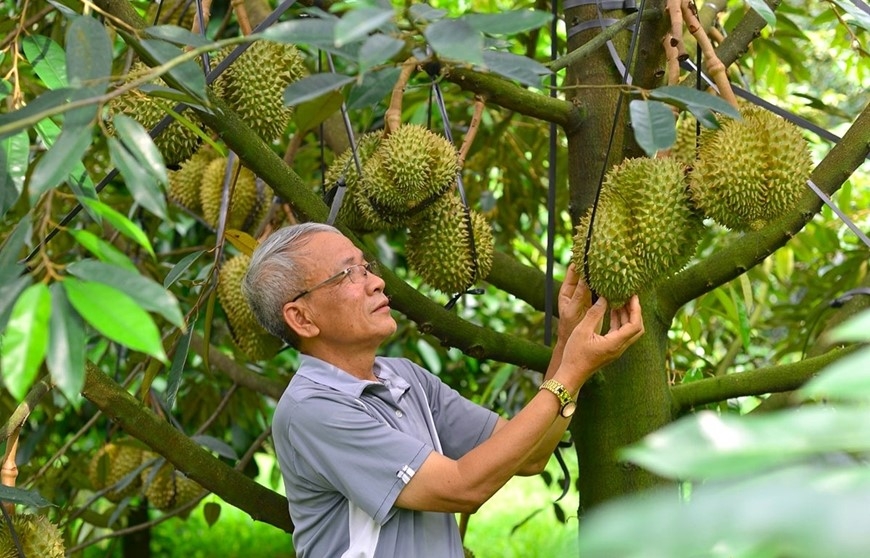 Ứng dụng công nghệ giúp nâng cao năng suất, mở rộng đầu ra cho nông sản.