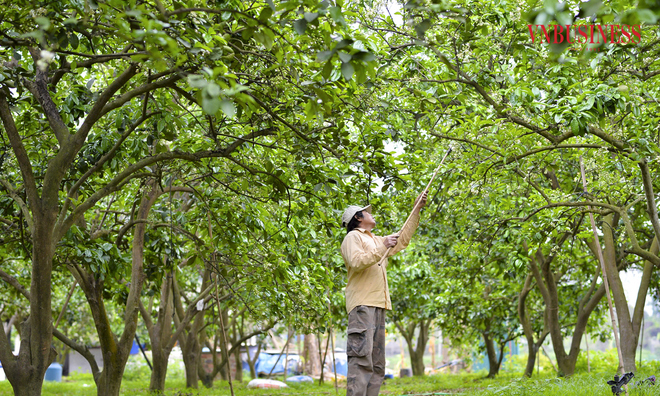 Chuyển đổi xanh không đơn thuần là việc giảm thiểu ô nhiễm môi trường, mà là quá trình tái cấu trúc toàn diện hoạt động sản xuất – kinh doanh theo hướng tiết kiệm tài nguyên, sử dụng năng lượng tái tạo, giảm phát thải khí nhà kính và tăng hiệu quả kinh tế.