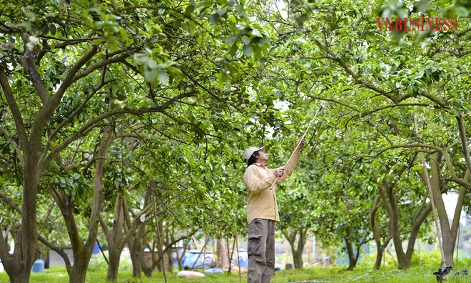 Chuyển đổi xanh không đơn thuần là việc giảm thiểu ô nhiễm môi trường, mà là quá trình tái cấu trúc toàn diện hoạt động sản xuất – kinh doanh theo hướng tiết kiệm tài nguyên, sử dụng năng lượng tái tạo, giảm phát thải khí nhà kính và tăng hiệu quả kinh tế.