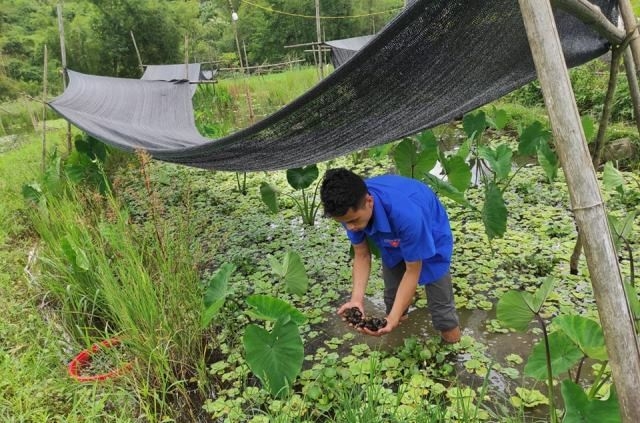 HTX đang thu hút thanh niên địa phương tham gia.