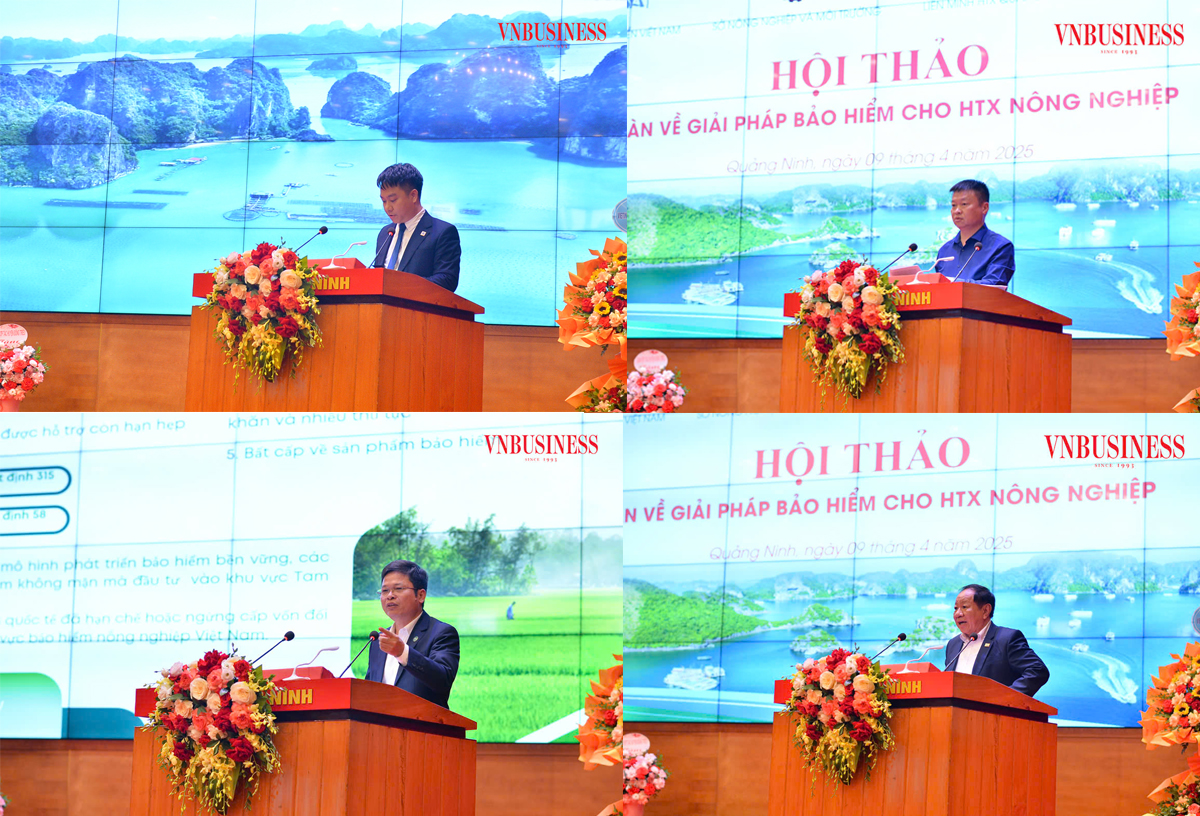 Lãnh đạo Liên minh HTX tỉnh Quảng Ninh, đại diện các HTX, đại diện bảo hiểm Agribank, các chuyên gia đóng góp ý kiến về bảo hiểm nông nghiệp dành cho HTX.