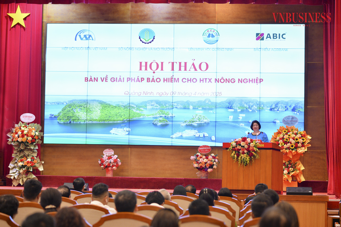 Nhiều kinh nghiệm trong và ngoài nước được chia sẻ tại hội thảo tại Quảng Ninh ngày 9/4.