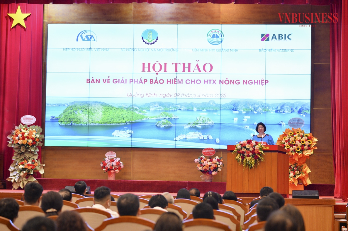 Nhiều kinh nghiệm trong và ngoài nước được chia sẻ tại hội thảo tại Quảng Ninh ngày 9/4.