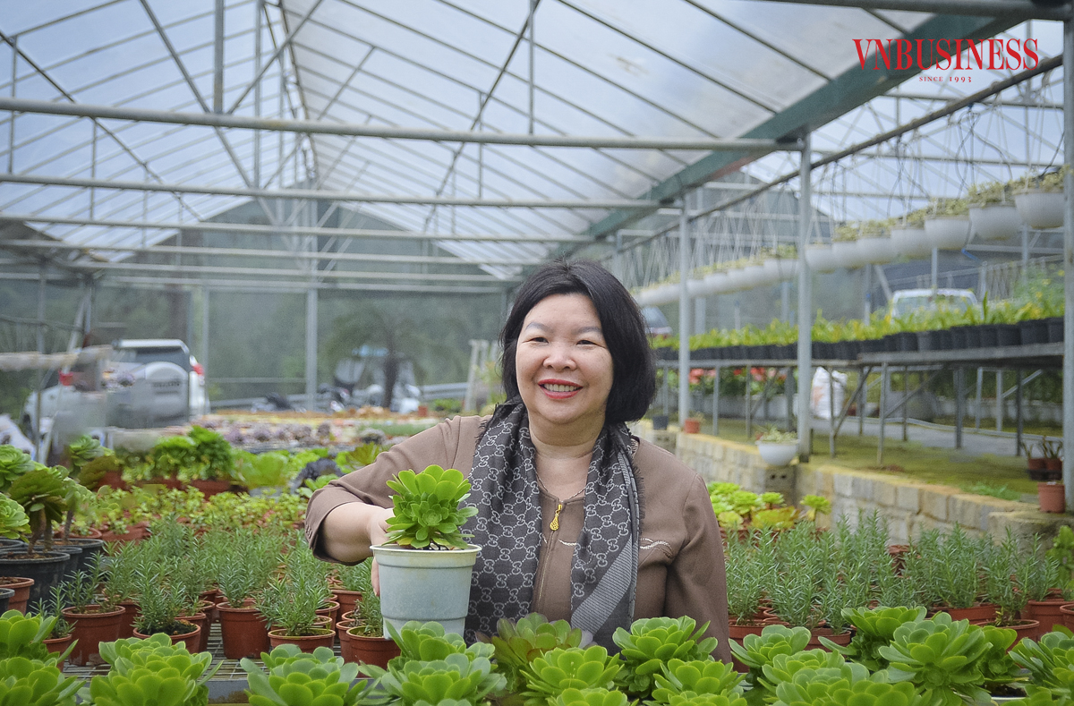 HTX hoa Bình Liêu gây ấn tượng mạnh với mô hình nông nghiệp sinh thái kết hợp du lịch.