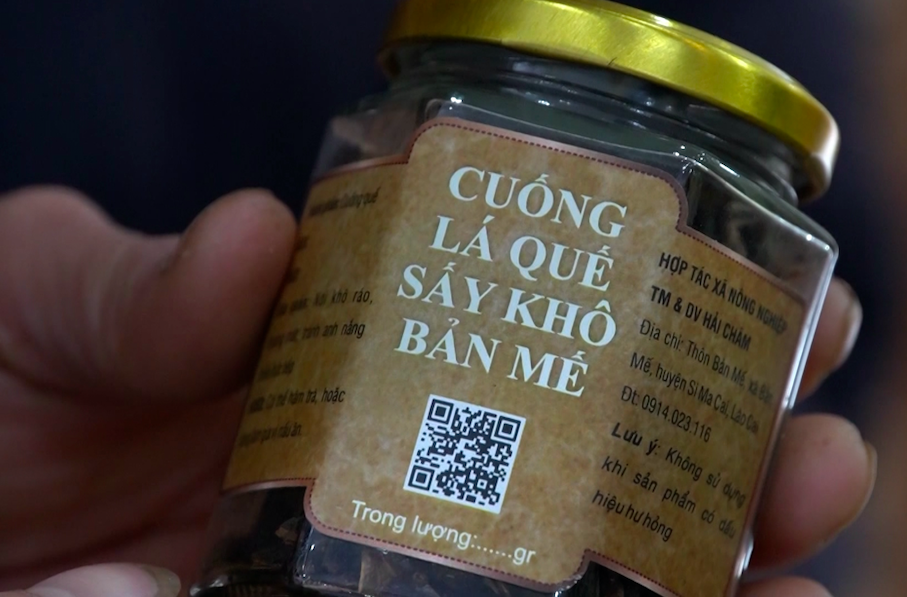 Sản phẩm OCOP Cuống lá quế sấy khô Bản Mế.