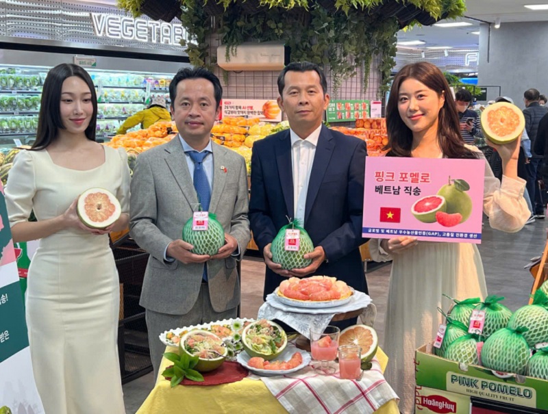 Trái bưởi Việt Nam chính thức được bày bán tại hệ thống siêu thị Lotte Mart Hàn Quốc.