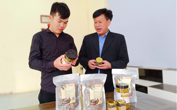 HTX Thương mại và Dịch vụ Hải Châm có 2 sản phẩm OCOP là Chuối hột rừng và Cuống lá quế