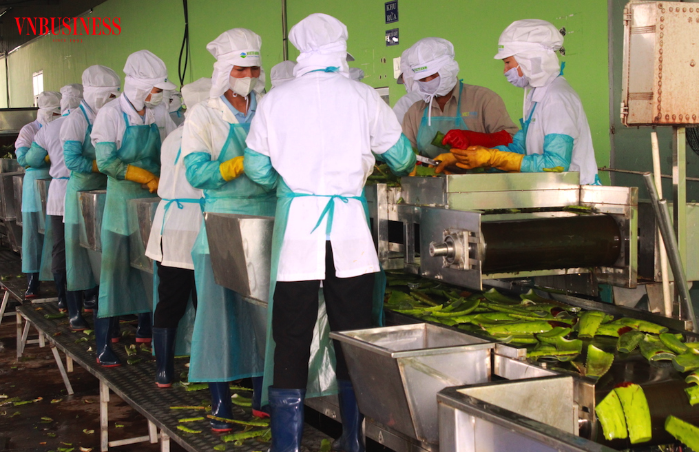 Các DN nông sản thực phẩm nên có năng lực thích ứng tốt, không đợi “nước đến chân mới nhảy” trong bối cảnh đối mặt chuyển biến của chiến tranh thương mại.