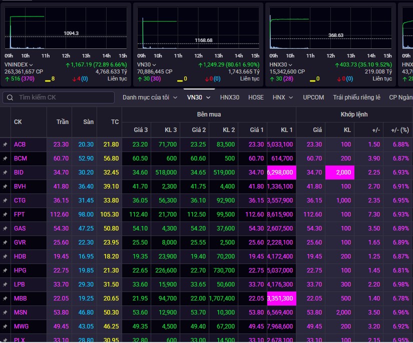 Sắc tím bao phủ toàn bộ rổ VN30.