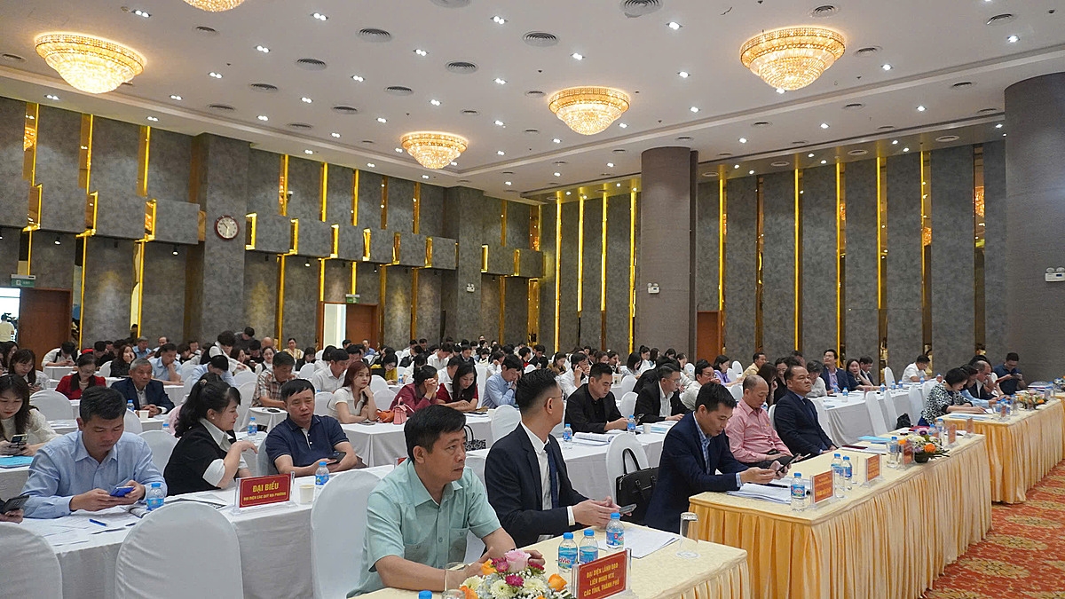 Toàn cảnh hội nghị.