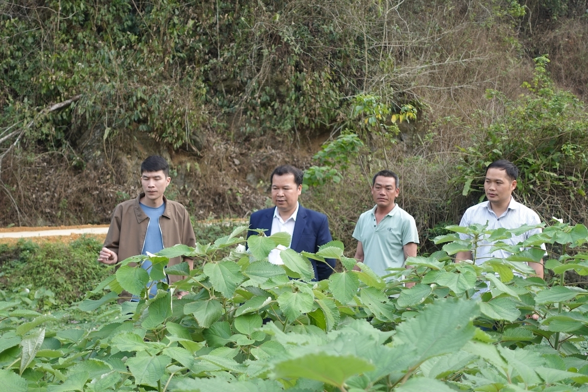 Liên minh HTX tỉnh Cao Bằng khảo sát, nắm tình hình tại Hợp tác xã Thương mại dịch vụ Thành Công