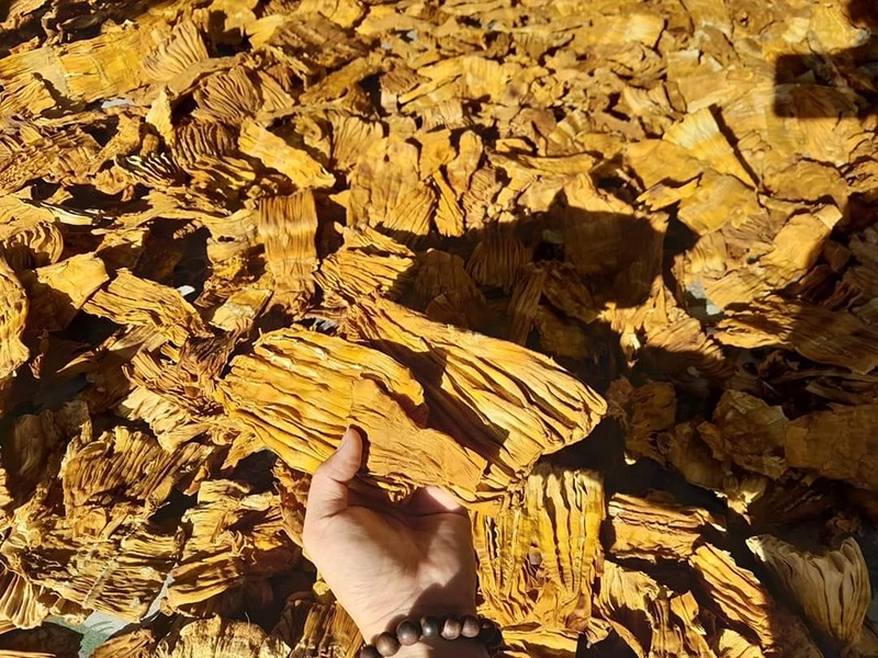 Nhờ xây dựng được chuỗi liên kết sản xuất tiêu chuẩn, bền vững, hằng năm HTX Nông nghiệp xanh Duy Linh giúp bà con tại huyện Quan Hóa tiêu thụ hàng trăm tấn nông sản.