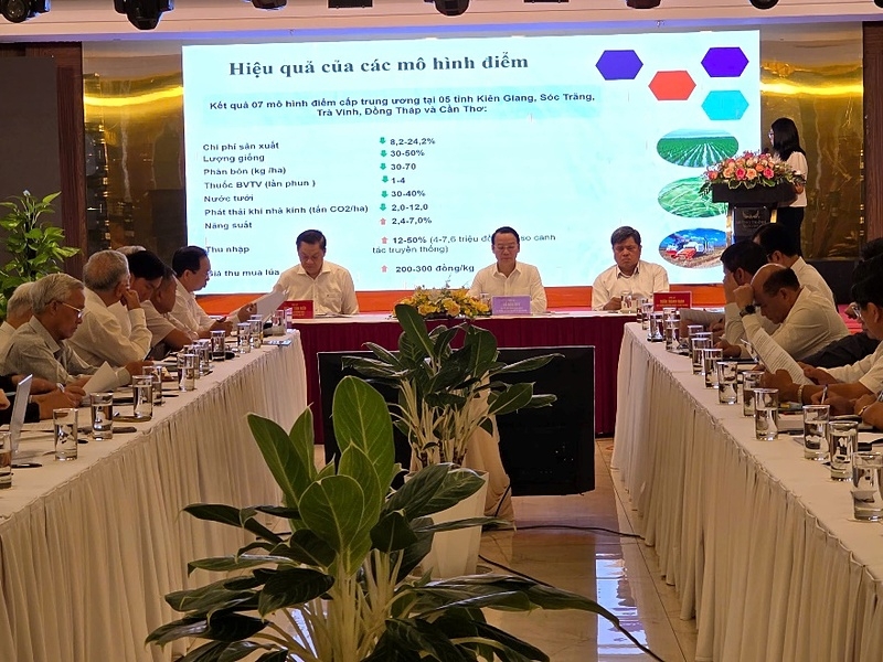 Toàn cảnh Hội nghị sơ kết 1 năm thực hiện Đề án “Phát triển bền vững 1 triệu hecta chuyên canh lúa chất lượng cao và phát thải thấp gắn với tăng trưởng xanh vùng Đồng bằng sông Cửu Long đến năm 2030”.