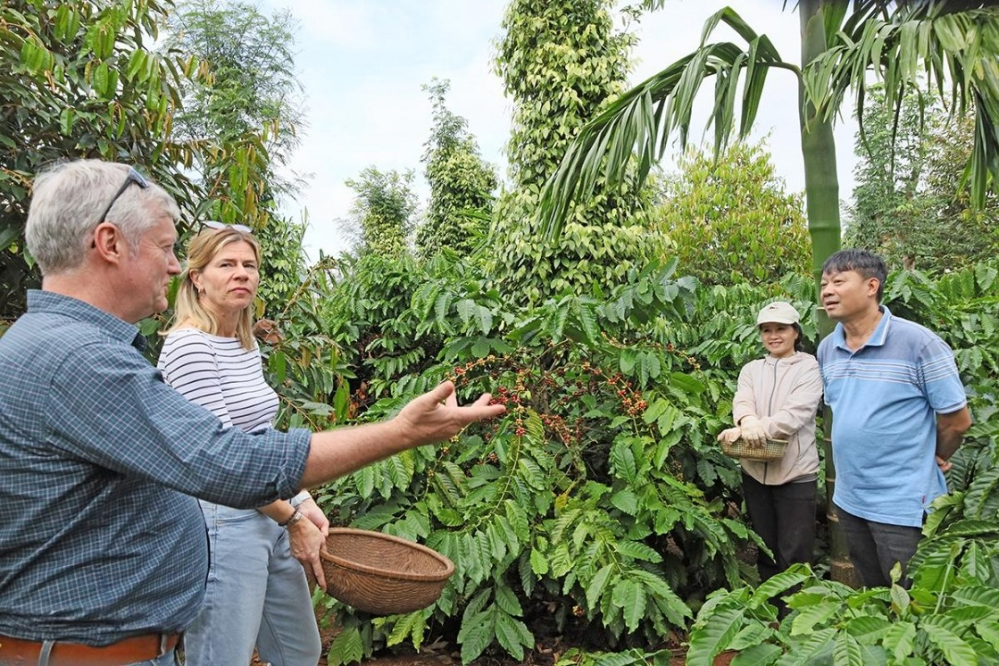Mối liên kết chặt chẽ giữa các HTX và doanh nghiệp mang lại hiệu quả kinh tế cao, góp phần tăng năng suất, chất lượng sản phẩm, giải quyết việc làm cho người lao động, bảo đảm đầu ra ổn định, nâng cao đời sống cho người dân.