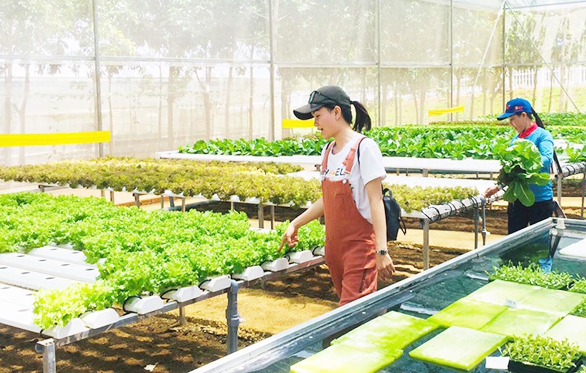 Ứng dụng hiệu quả khoa học công nghệ mang lại lợi ích kép về kinh tế, môi trường &lpar;Ảnh: BPY&rpar;.