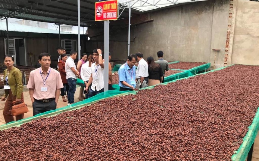 Một số HTX đã hợp tác với các doanh nghiệp, hộ dân hình thành chuỗi liên kết trong sản xuất, tiêu thụ sản phẩm.