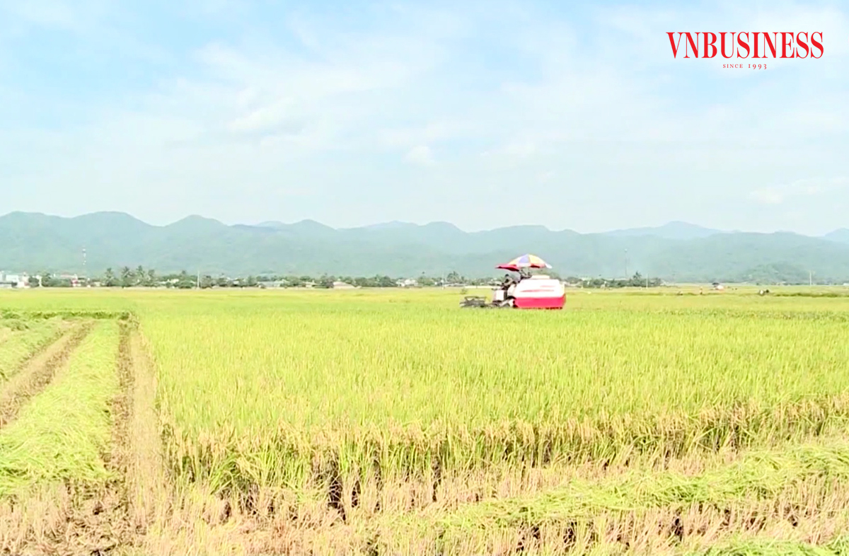 Đồng bào dân tộc thiểu số ở Điện Biên đang đẩy mạnh áp dụng khoa học kỹ thuật vào sản xuất.