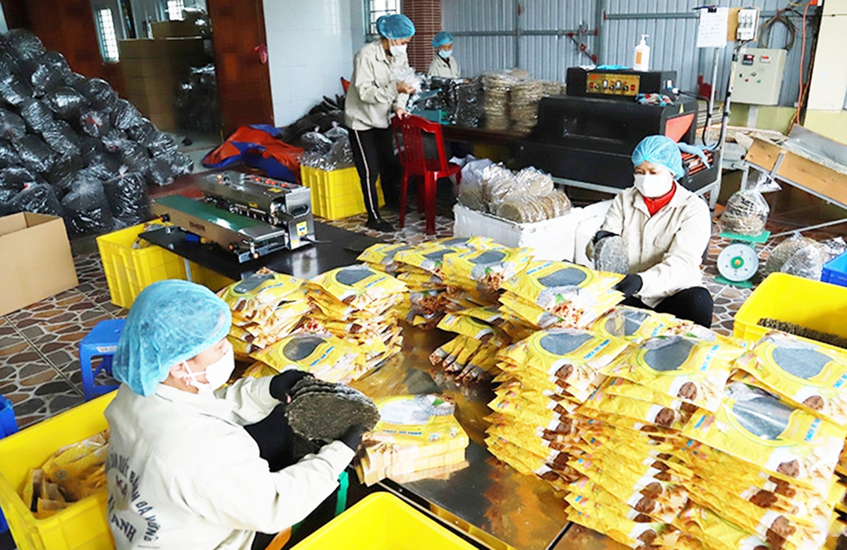 Sản phẩm OCOP giúp nông dân, HTX ở Kỳ Anh nâng cao thu nhập &lpar;Ảnh: BHT&rpar;.