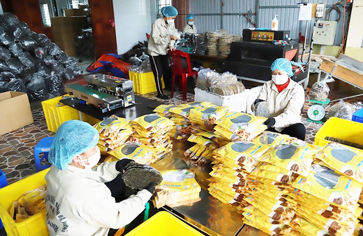 Sản phẩm OCOP giúp nông dân, HTX ở Kỳ Anh nâng cao thu nhập &lpar;Ảnh: BHT&rpar;.