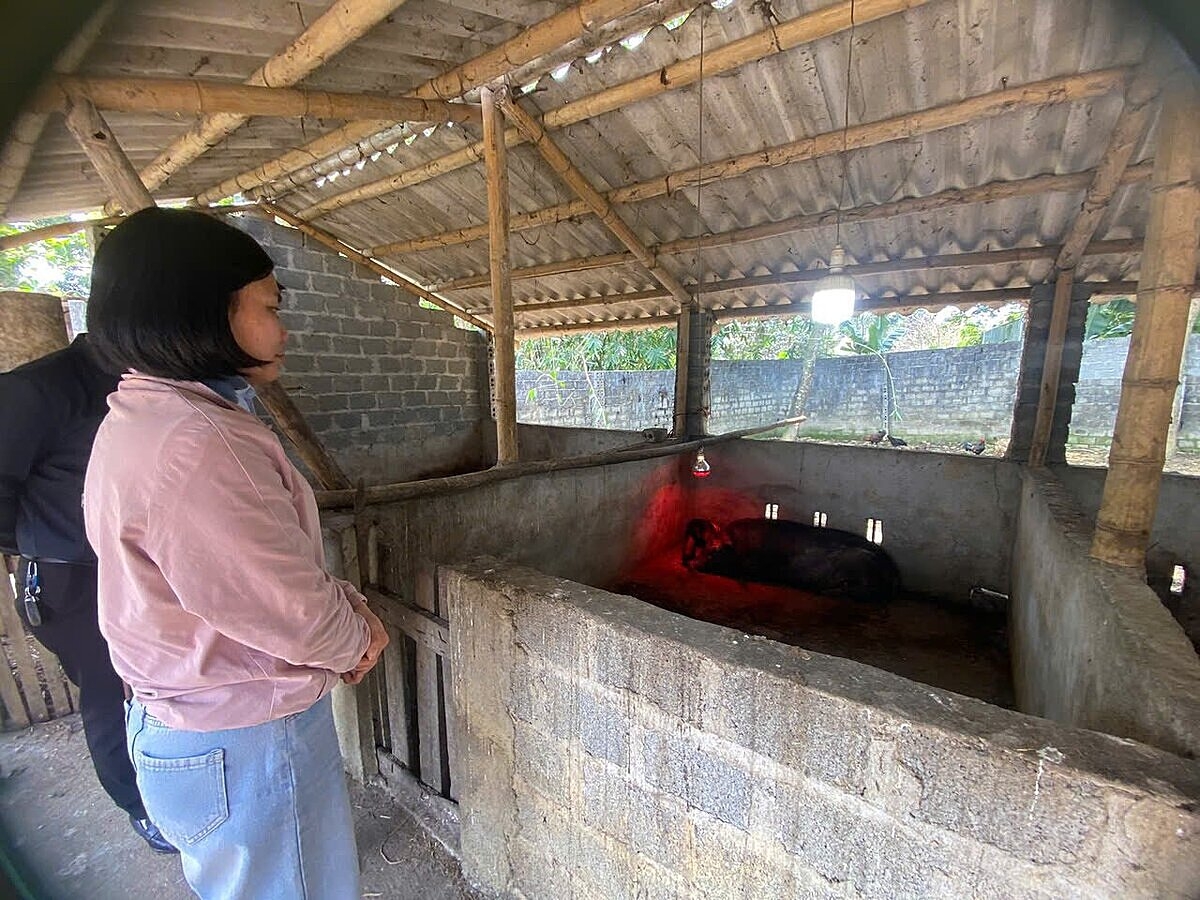 Việc triển khai các dự án hỗ trợ cây giống cây trồng, vật nuôi từ Chương trình MTQG giảm nghèo bền vững là hình thức hỗ trợ sinh kế thiết thực, có ý nghĩa lâu dài, phù hợp với điều kiện thực tế hộ nghèo, cận nghèo tại các địa phương.